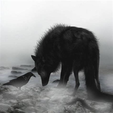 Entre chien et loup ~ Loup_n10