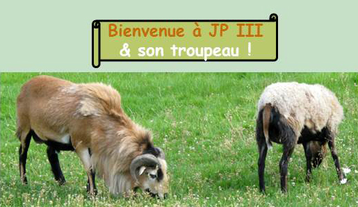 Photos de vos moutons pour la page d'accueil - Page 15 Entzot15