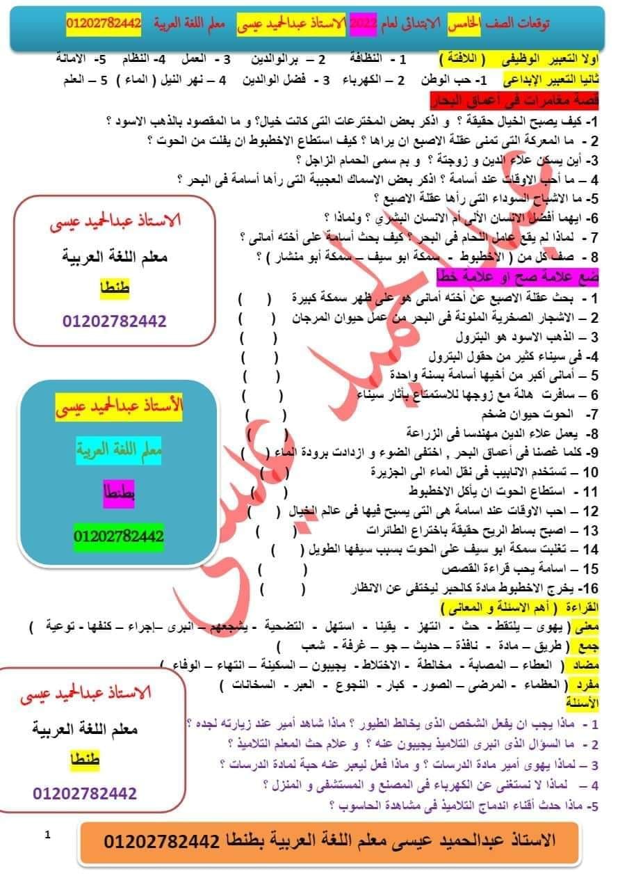 الأسئلة المتوقعة في اللغة العربية للصف الخامس ترم أول 2022 مستر عبد الحميد عيسى 27152110