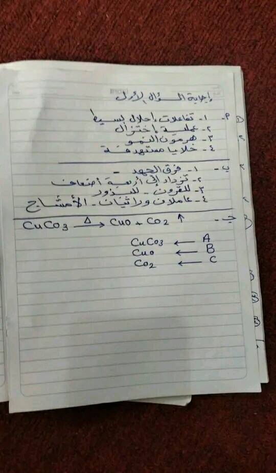 امتحان العلوم  للشهادة الإعدادية مايو 2023 محافظة الشىرقية بالخل 34740810