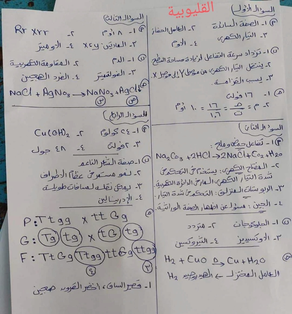 امتحان العلوم بالحل للصف الثالث الاعدادي الترم الثاني 2023 محافظة الإسكندرية 34829110