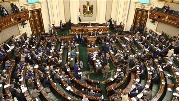بعد فزع طالبات إمبابة - البرلمان ينعقد لمناقشة غلق تطبيق التيك توك في مصر 37611
