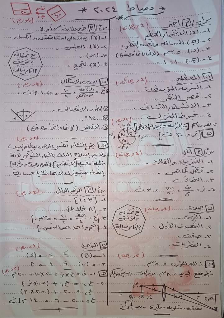 امتحان علوم محافظة دمياط للشهادة الإعدادية ترم أول2024 41737210