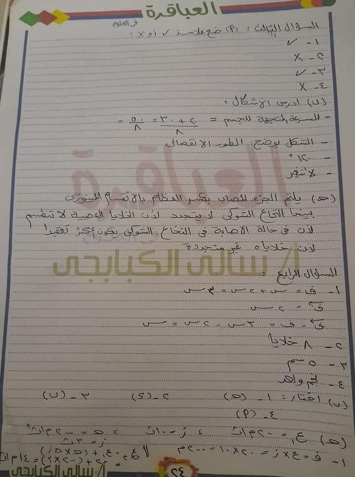 امتحان علوم محافظة دمياط للشهادة الإعدادية ترم أول2024 42005710
