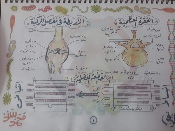  ملخص هام جدا لرسوم أحياء الثانوية العامة 2021 Talb_o12