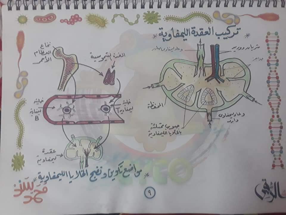  ملخص هام جدا لرسوم أحياء الثانوية العامة 2021 Talb_o14