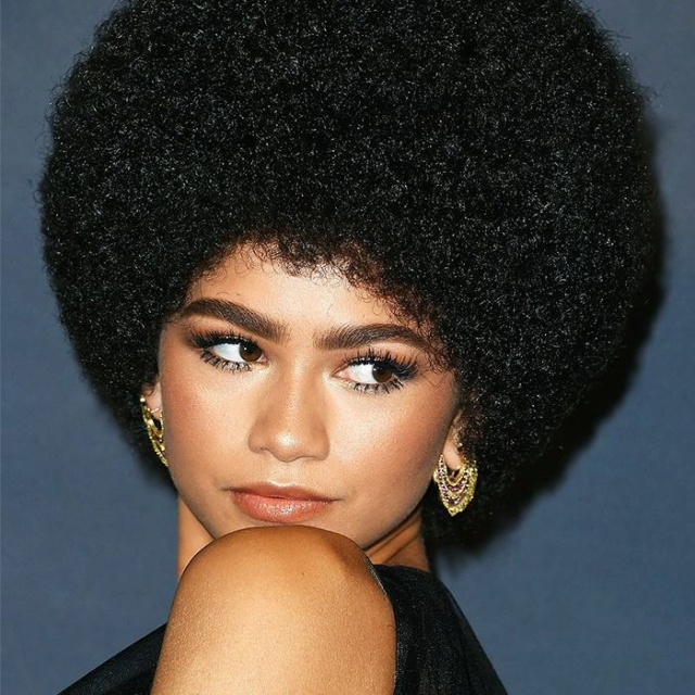 Zendaya show appreciation for her afro hair heritage Cdn_cl10