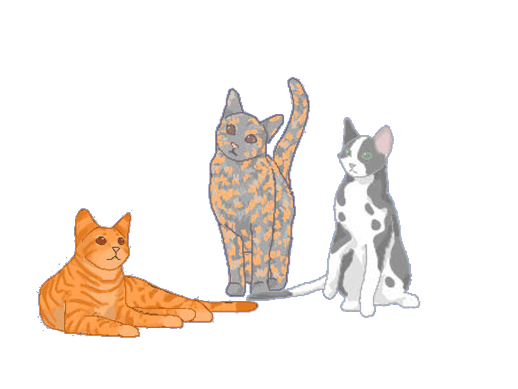 Copperbean's Cat Art Corner [Slot closed] Sunris10
