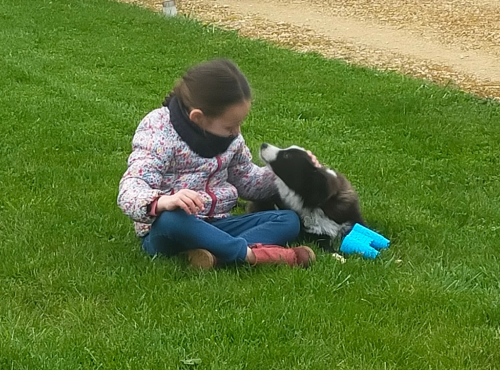 SNOOPY (ex GRUFFI) - chiot mâle, de taille petite à moyenne à l'âge adulte - né environ en octobre 2021 - REMEMBER ME LAND - Adopté par Émilie et Yohan (49)  Img20215