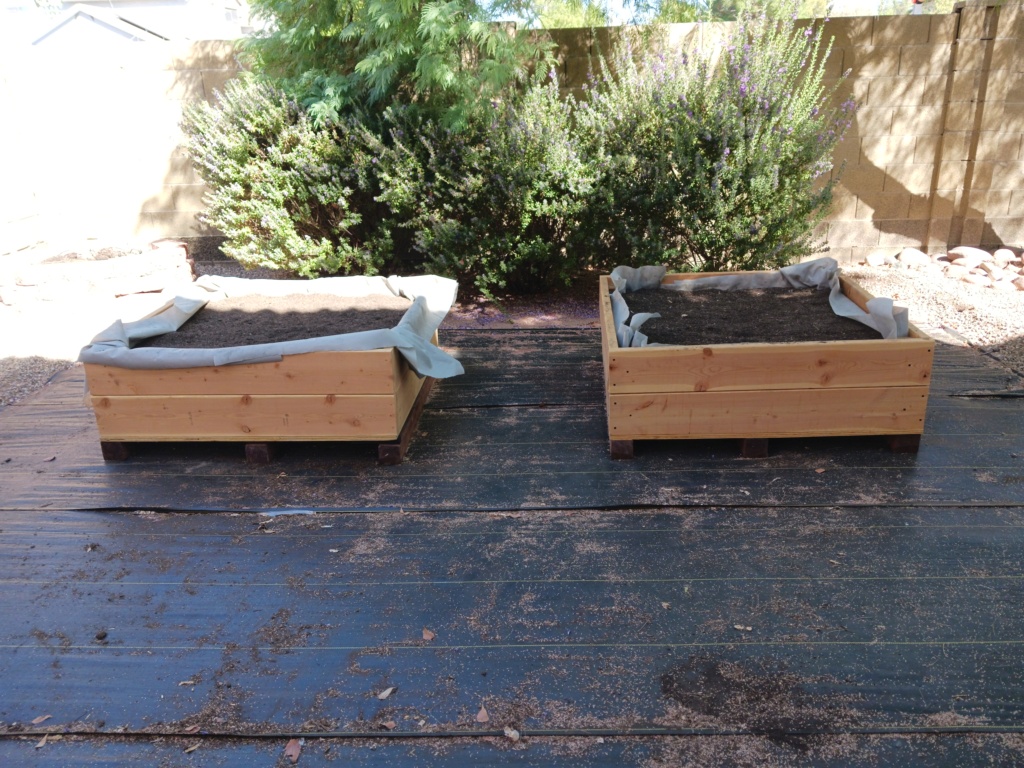 Plan for a raised bed off ground? Beds2310