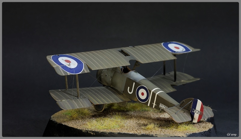 [Revell] 1/48 Sopwith Camel Imgp9657