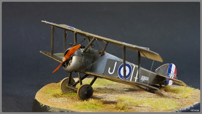 [Revell] 1/48 Sopwith Camel Imgp9659