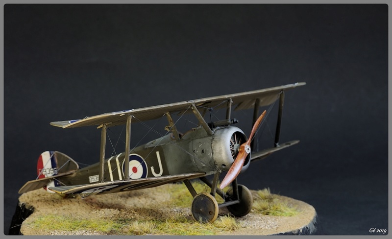 [Revell] 1/48 Sopwith Camel Imgp9660