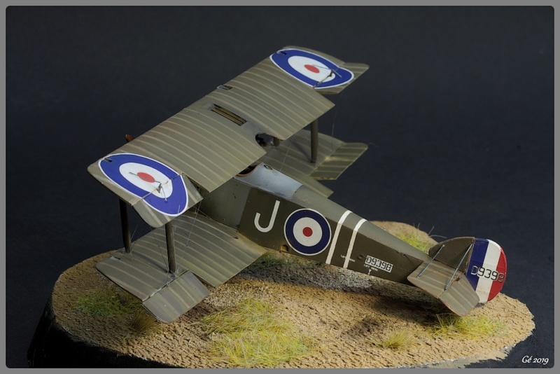 [Revell] 1/48 Sopwith Camel Imgp9661