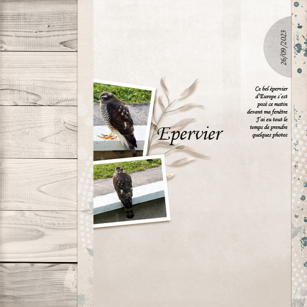Challenge template --> 15 septembre - Page 2 Summer60