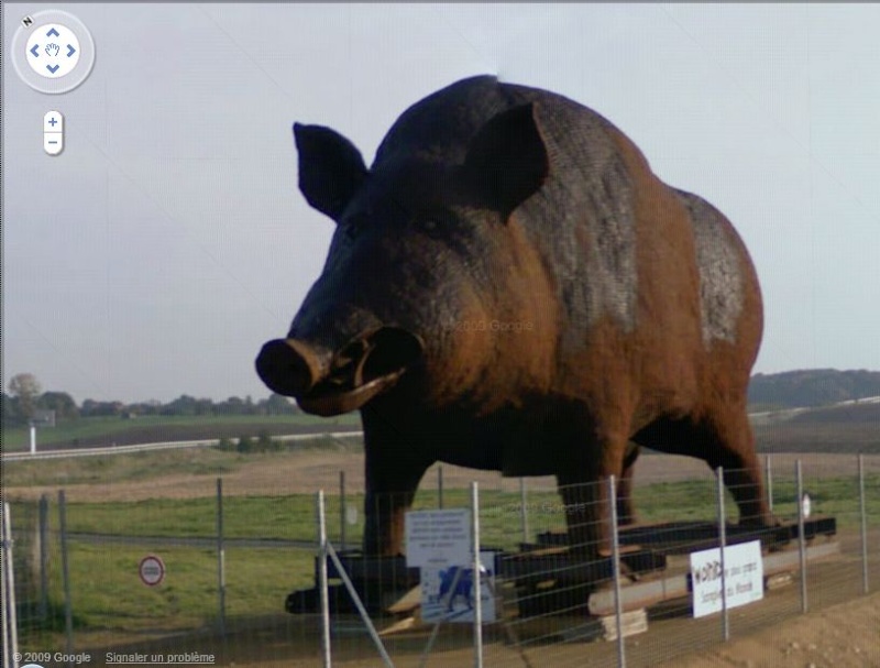 STREET VIEW : Les statues d'animaux dans le monde Woinic10