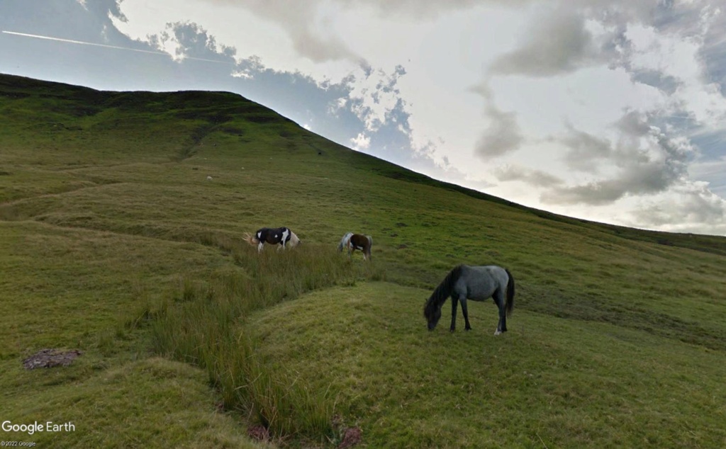 La Digue d'Offa (Offa's Dyke), frontière entre l'Angleterre et le Pays de Galles Cress10