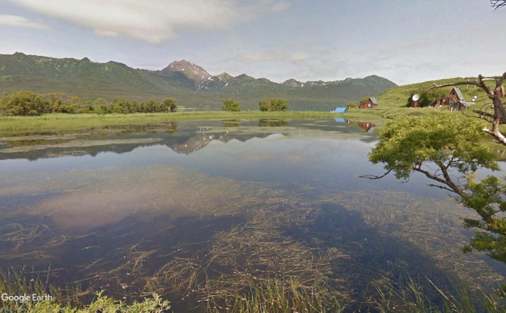 STREET VIEW : Ours (et saumons) dans le Kamtchatka Dud310