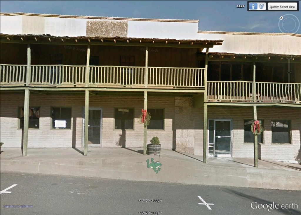 STREET VIEW : Les grenouilles d'Angels Camp (Mark Twain) Frog810