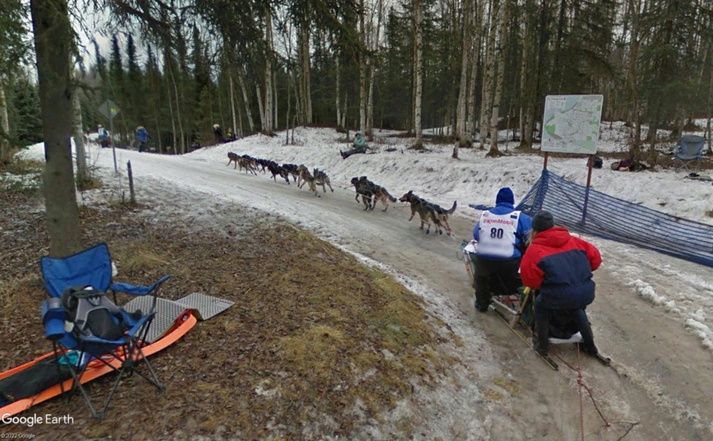 L'Iditarod : la plus longue course de chiens de traineaux au monde Gdtt10