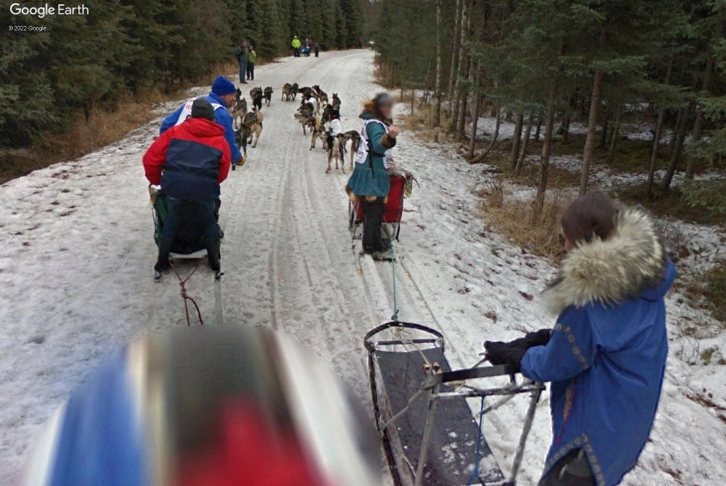 L'Iditarod : la plus longue course de chiens de traineaux au monde Gdtt410