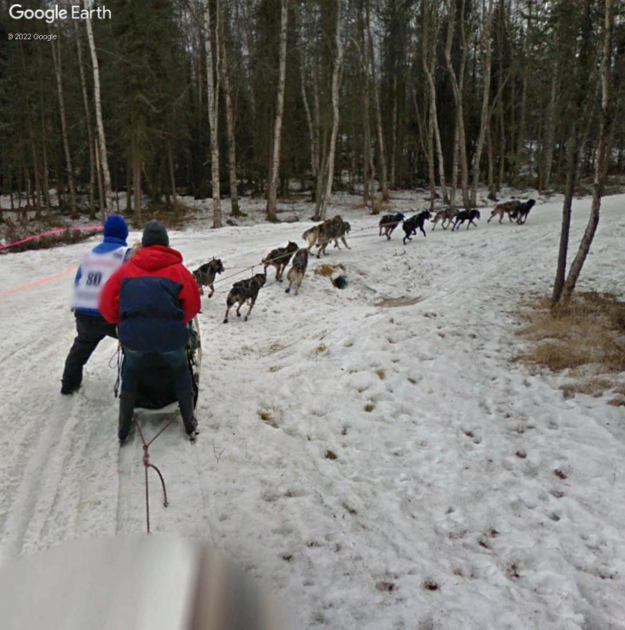 L'Iditarod : la plus longue course de chiens de traineaux au monde Gdtt610