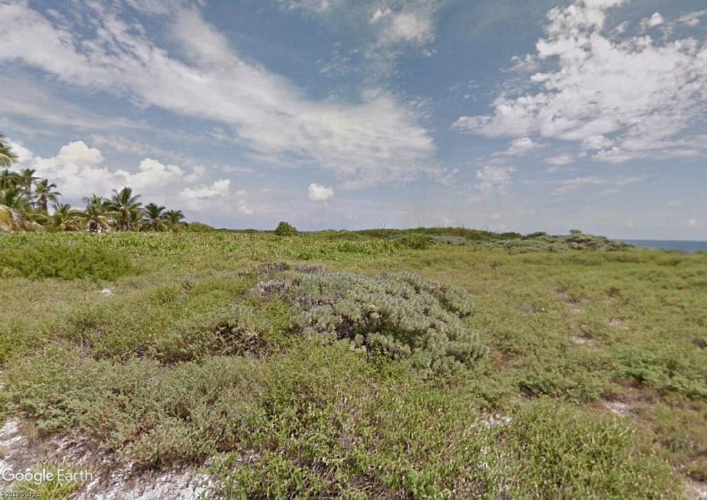 Les îles de Dry Tortugas : voyage dépaysant dans le golfe du Mexique Ghdgf10