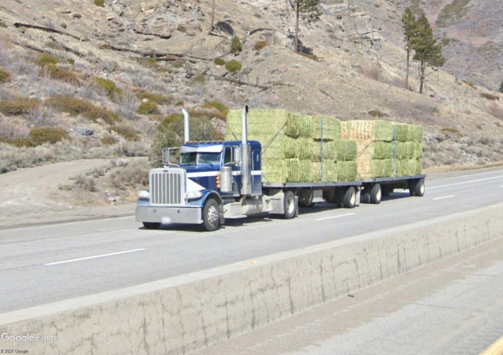 STREET VIEW : les trucks US sous toutes leurs coutures - Page 8 Hgb10