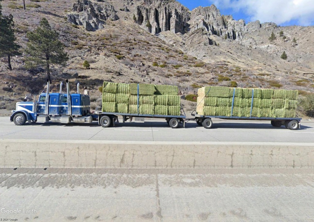 STREET VIEW : les trucks US sous toutes leurs coutures - Page 8 Hgb310