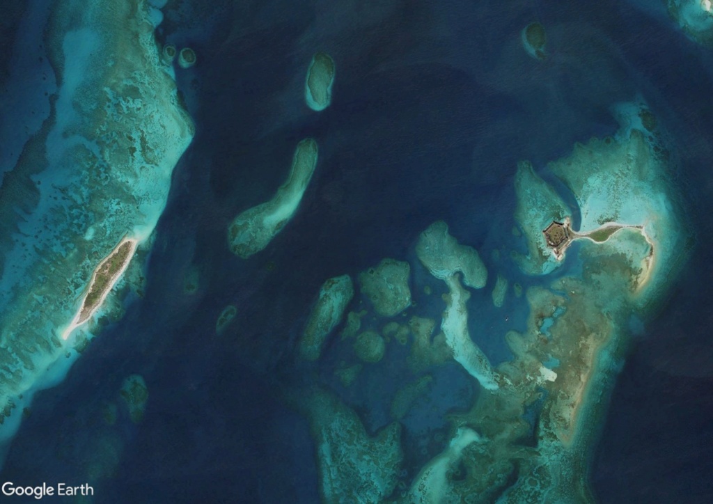 Les îles de Dry Tortugas : voyage dépaysant dans le golfe du Mexique Hjui10