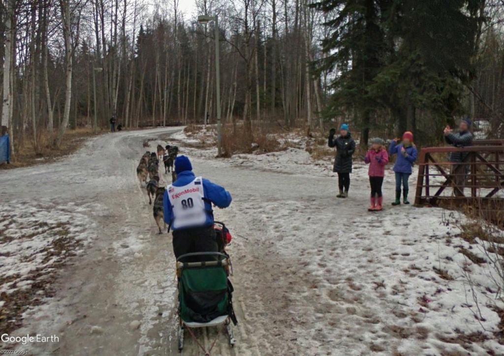 L'Iditarod : la plus longue course de chiens de traineaux au monde Idi210