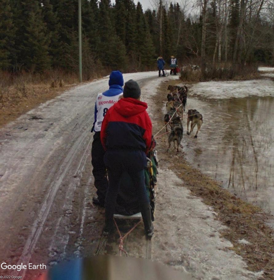 L'Iditarod : la plus longue course de chiens de traineaux au monde Idi55210