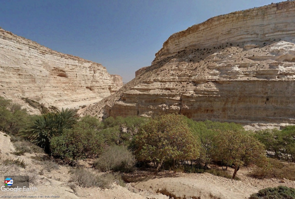 Ein Avdat : un oasis dans le désert du Néguev (Israël) Neg1fg11