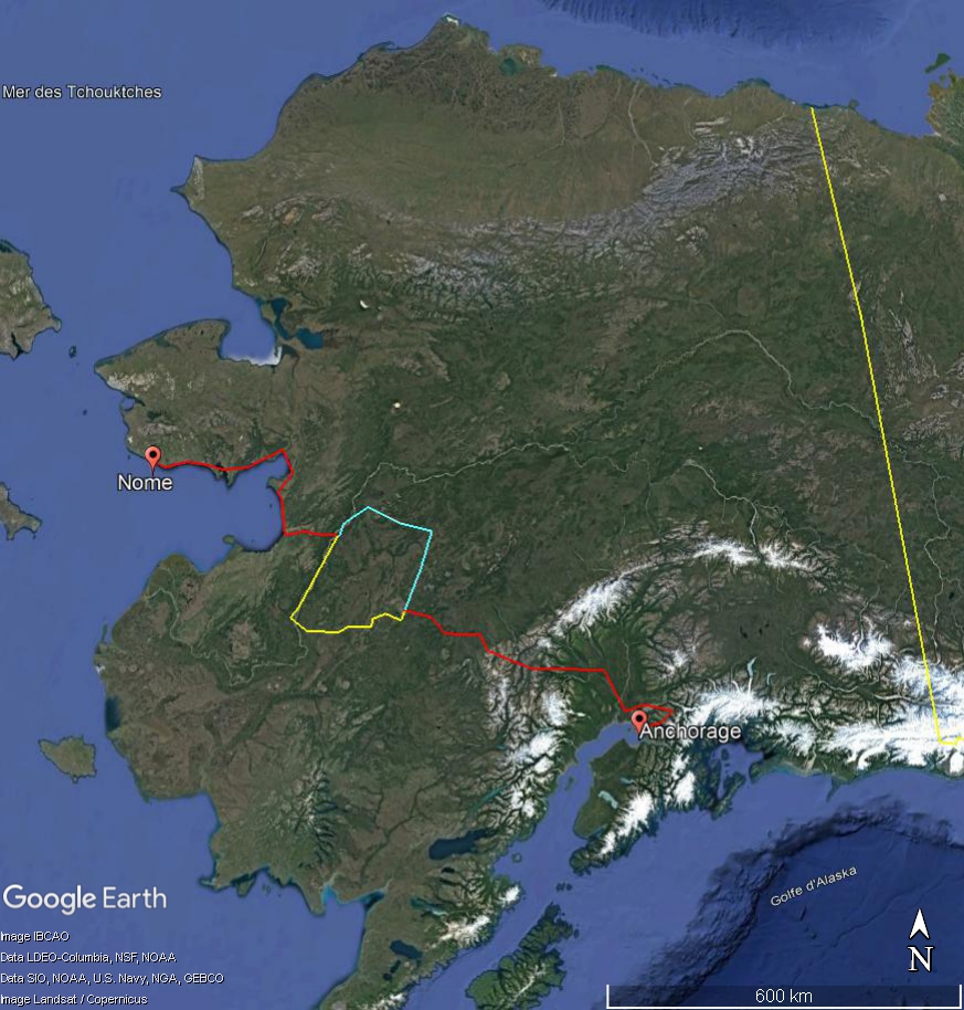 L'Iditarod : la plus longue course de chiens de traineaux au monde Nnnh11