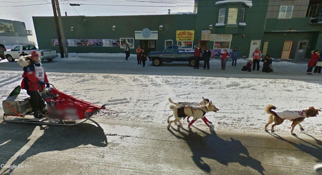L'Iditarod : la plus longue course de chiens de traineaux au monde Nomm110