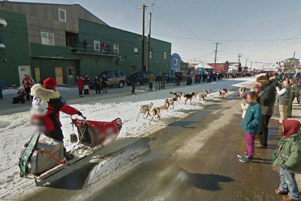 L'Iditarod : la plus longue course de chiens de traineaux au monde Nomm210