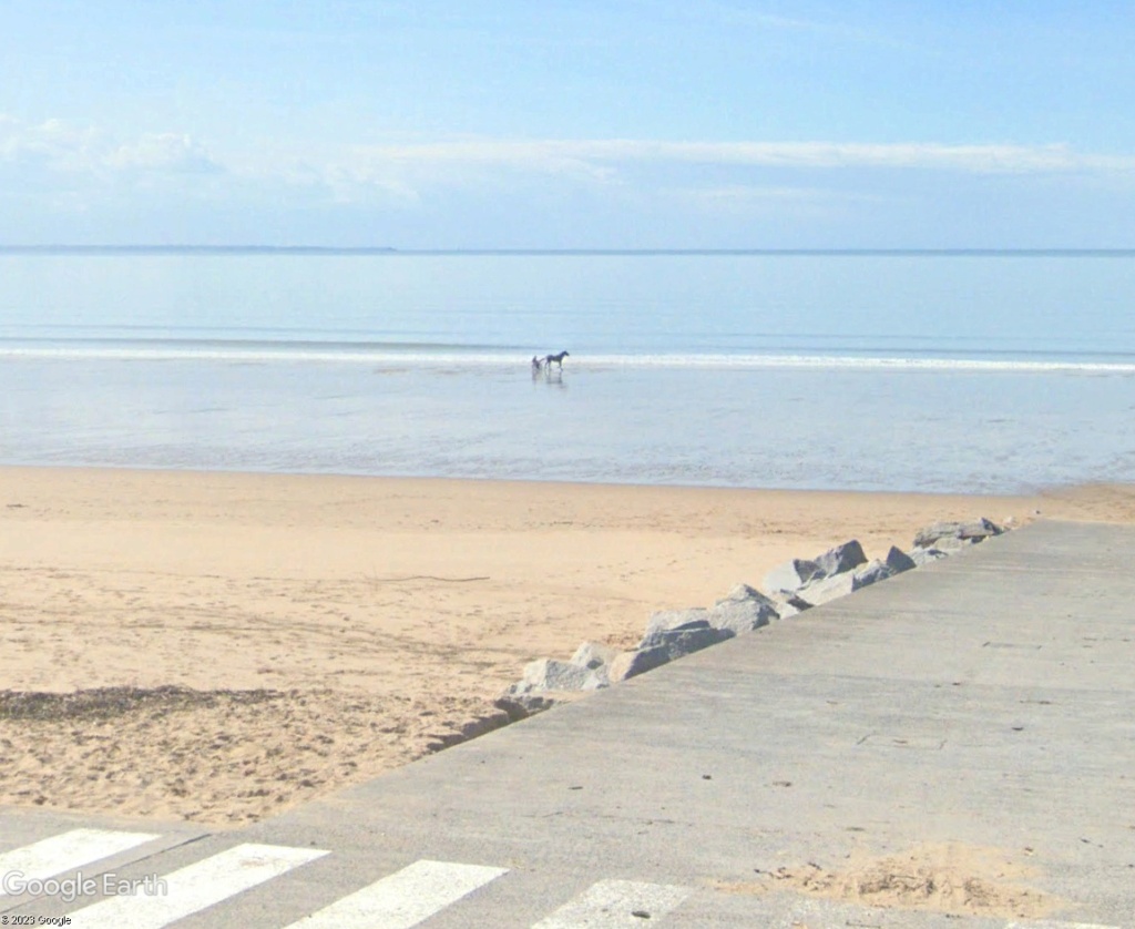 Un sulky sur la plage en Normandie Sulf10