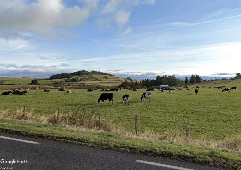 Les villages qui ont donné leur nom à un fromage (sujet touristique !) Vaches10