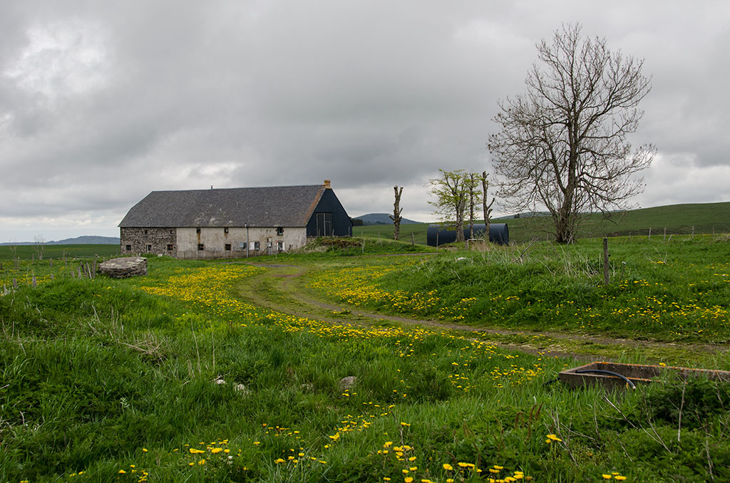 La Mongolie auvergnate _dsc4111