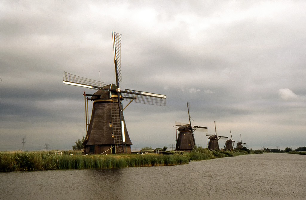 Les moulins de Kinderdijk Img15710