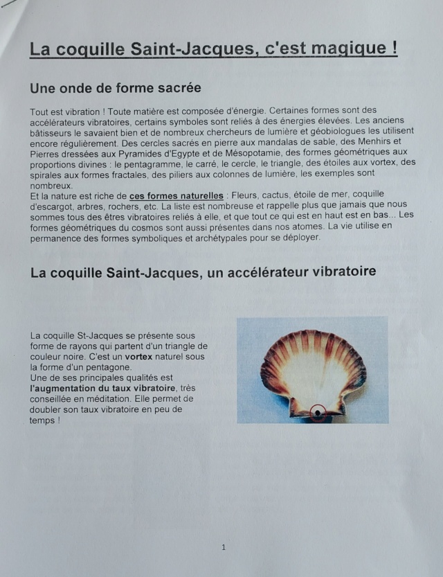 COQUILLES SAINT-JACQUES 20230935