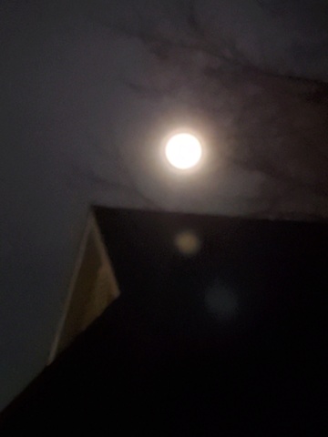pierre de lune noire - Pleine Lune du 24 février 2024 20240231