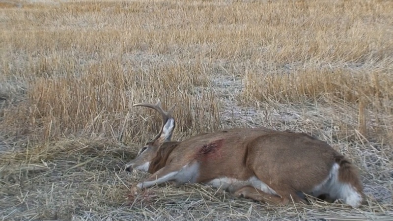 Retour de la Saskatchewan Shot_a10