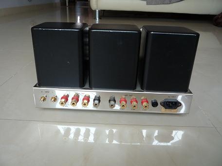 Antique Sound Lab AQ-1007 300B power amp (SOLD) P1010614