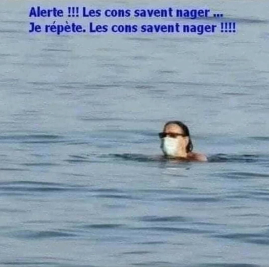 Humour en image du Forum Passion-Harley  ... - Page 23 Img-2190