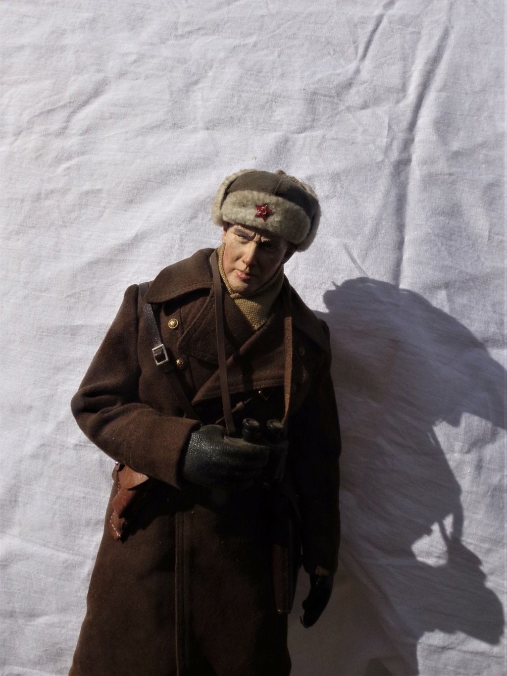 Officier supérieur, Armée Rouge, banlieu de Leningrad 1941 Off_so11