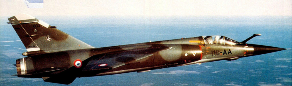 [Hasegawa] Mirage F1CR CEAM 603_1110