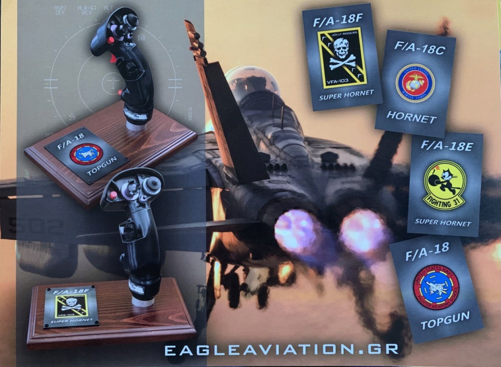    [Eagle Aviation] Poignées pilote au 1/1 Photo602