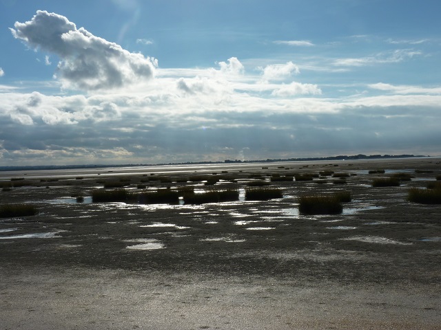 Baie de somme  P1130710