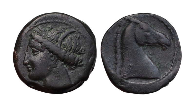 Bronze Carthage Sardai10